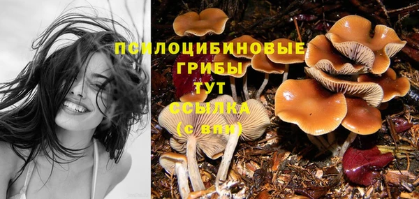 мдма Гусев