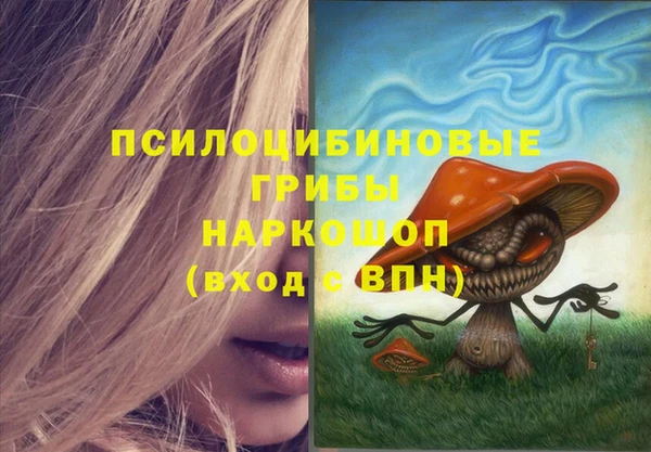 мдма Гусев