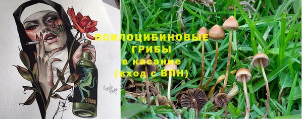 jwh Дмитриев