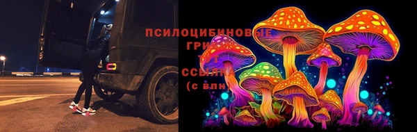 мдма Гусев