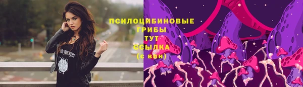 прущий лед Гусиноозёрск