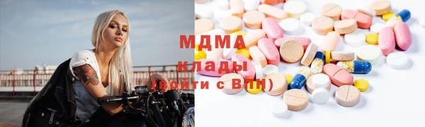 прущие грибы Дмитровск
