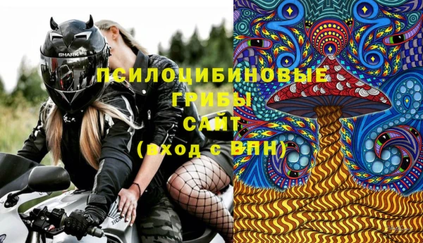 2c-b Гусь-Хрустальный