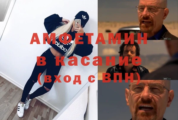 прущие грибы Дмитровск